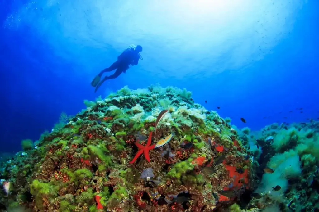Baptême de plongée à Djerba (2 h) – photo 2