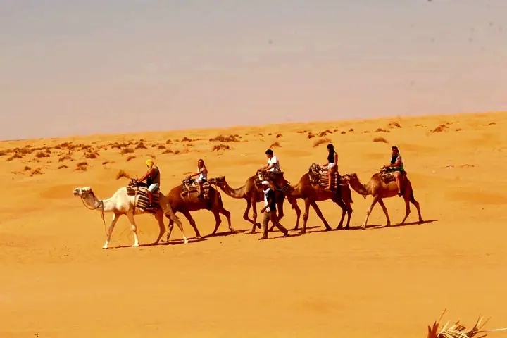 Douz & Sahara